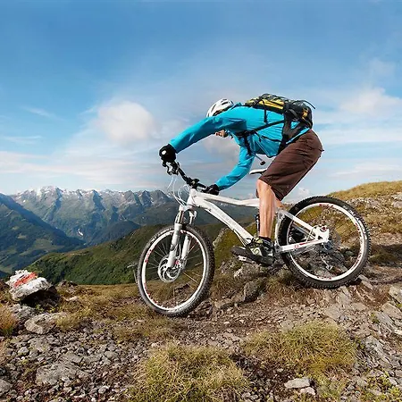 Alpenhotel Kramerwirt Hotel Mayrhofen